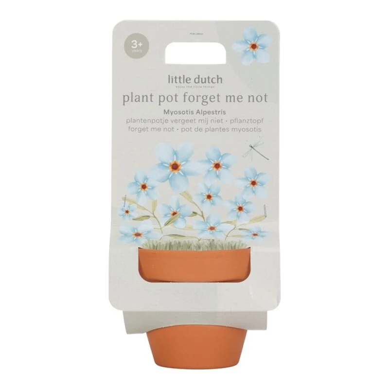 Maceta planta No me Olvides · Little Dutch