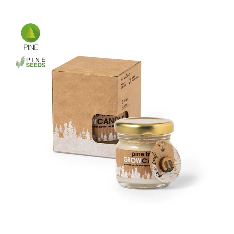 Vela Ecológica Aroma Pino con Semillas Lisa