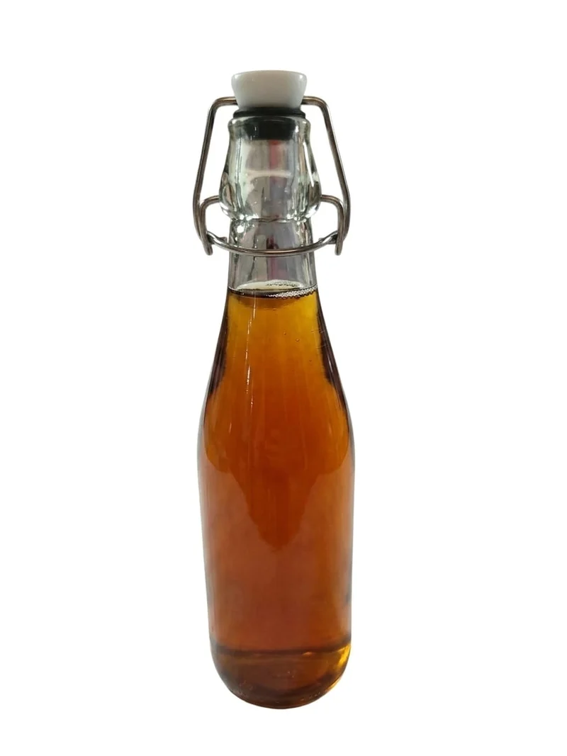 Botella Retro t/clip Hermetico 510 Ml