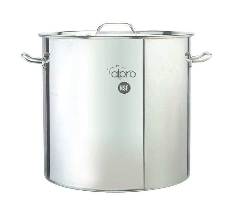 Olla Vaporera 36 cm en Acero Inoxidable ALPRO